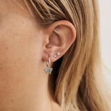 Butterfly Hoops