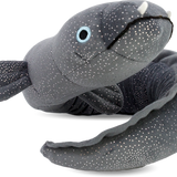 Ellie The Longfin Eel - Soft Toy