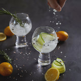 Gin Goblet Glasses - Set of 2