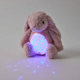 Bunny Plush Night Light