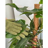 Plant Dust Gloves - Green