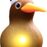 Kiwi Santa Lights