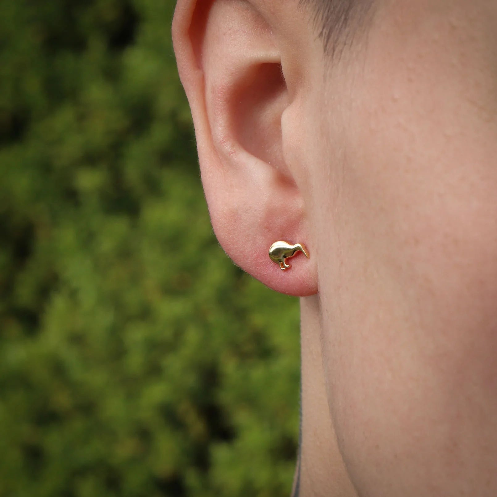 Kiwi Studs