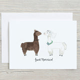 Wedding Llamas Mr & Mrs - Card