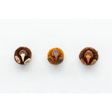 Kiwi Magnet Pompom