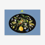 Oval Placemat - Set Of 4 - NZ Birds