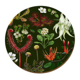 Wolfkamp & Stone Placemats