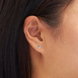 Forget Me Not Studs