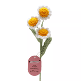 Say It With Flowers - Daisy