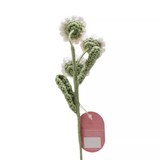 Say It With Flowers - Daisy