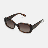 Locello Sunnies - Taytum - Tort / Brown