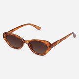 ROC Sunnies - Cool Beans - Honey Tortoiseshell