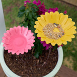 Bird Bath Sunflower - Pink