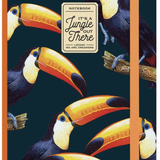 Notebook - Toucans