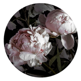 Peony - Card