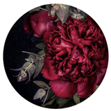 Scarlet Peony - Card