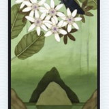 Tui In The Sky Flowers - Black Box Frame