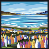 Lake Tekapo Lupins - Black Box Frame