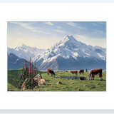 Foxgloves, Mt Cook Pre-Matted Mini Print