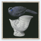 Kokako On Crown Lynn - Metallic Box Frame