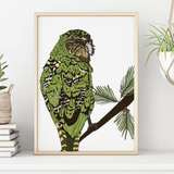 Kakapo - A4 Print