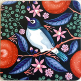 Waxeye and Mandarin - Coaster