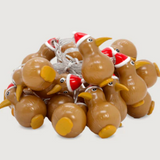 Kiwi Santa Lights