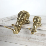 Brass Snail