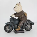 French Bulldog - Riding a Harley
