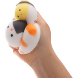 Squishy Sushi