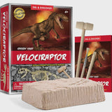 Piano Potato | Dig Kits - Velociraptor