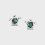Sterling Silver & Pāua Heart Turtle Studs