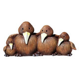 Kiwi Family