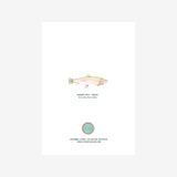Card - Rainbow Trout Multi