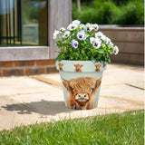 Zest Highland Cow - Pot - 15cm