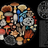 Fungi - 1000 Pce Round Puzzle