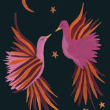 Card - Phoenix Night Sky