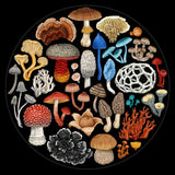 Fungi - 1000 Pce Round Puzzle