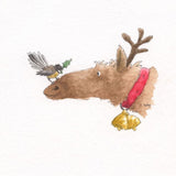 Fantail On Deer Nose - Christmas Card