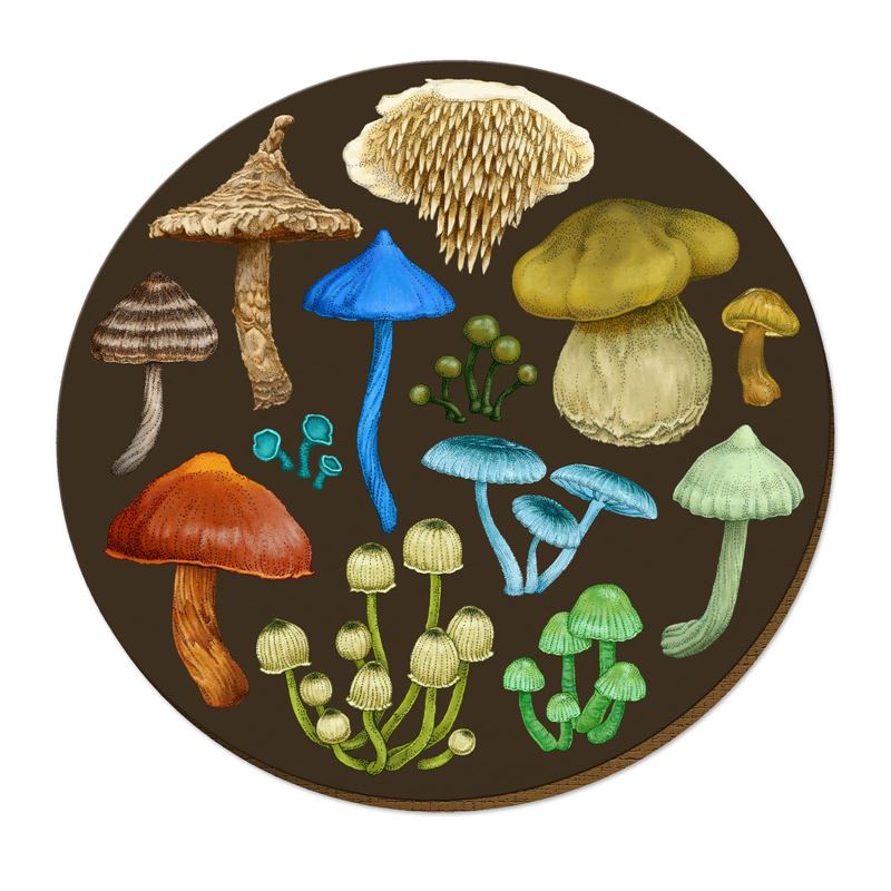 Wolfkamp & Stone Placemats