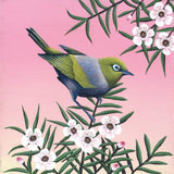Waxeye On Manuka - Black Box Frame