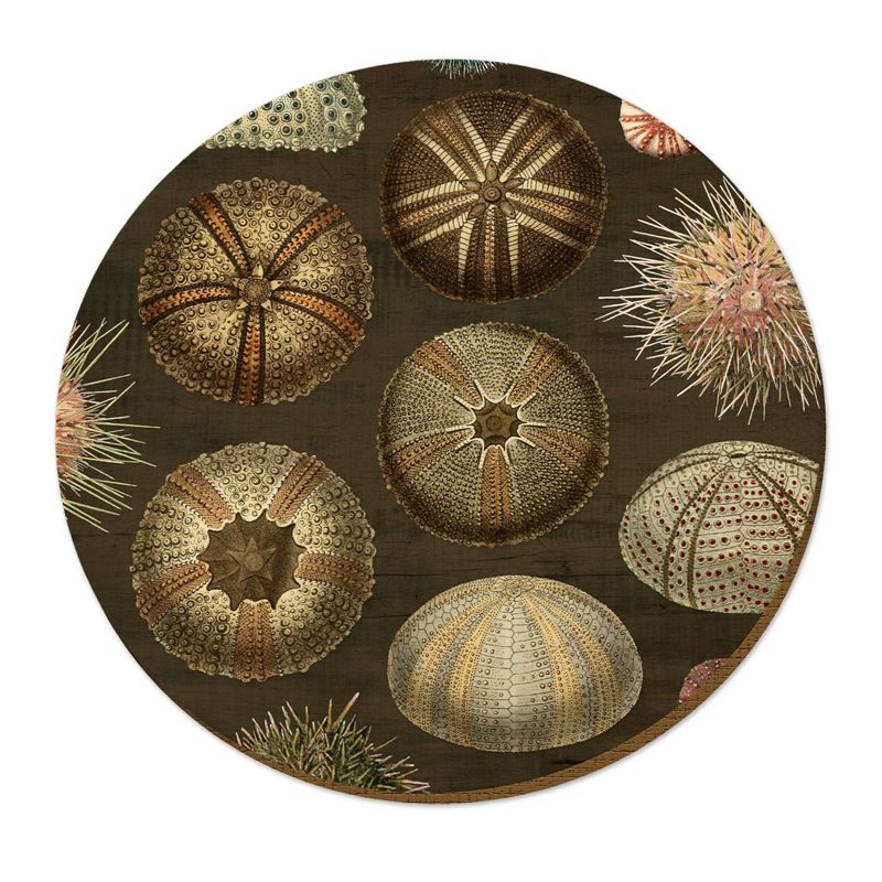 Wolfkamp & Stone Placemats