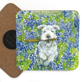 Little Dog Laughed Coaster