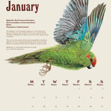 Erin Forsyth - 2027 Wall Calendar