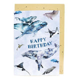 Supersize Card - Ocean Creatures