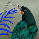 Huia Vine - Black Box Frame