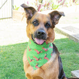 Christmas Dachshund Dog Bandana