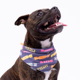 Christmas Crackers Dog Bandana