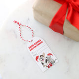 Christmas Santa Paws Gift Tags - Set 6
