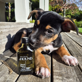 Shine & Restore Coat Serum